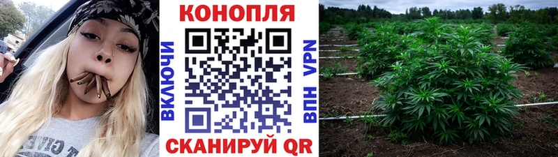 Виды наркотиков купить Людиново Марихуана Метамфетамин NBOMe ГАШИШ