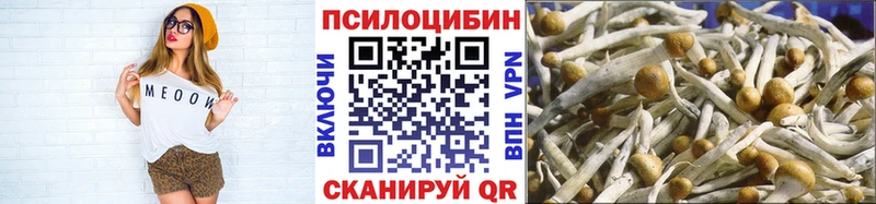 Псилоцибиновые грибы Cubensis  Людиново 
