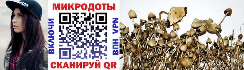 Псилоцибиновые грибы Cubensis Людиново